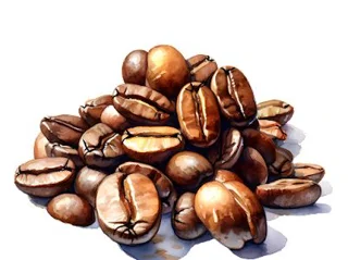 خرید قهوه